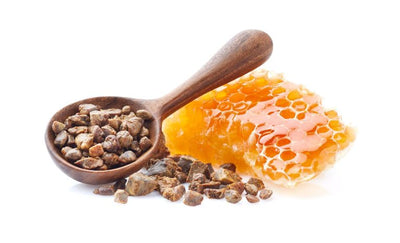 Bee Propolis